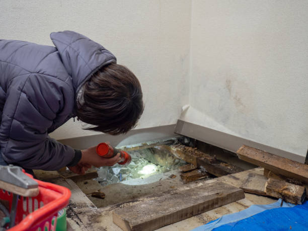 Best Asbestos and Lead Testing During Mold Inspection  in Fernandina Beach, FL