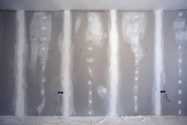 Best Emergency Mold Remediation  in Fernandina Beach, FL